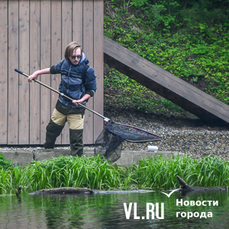 В озёрах Минного городка и Торфянке на Патрокле нашли паразитов, потенциально опасных для человека