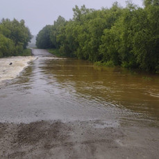 Несколько сёл Красноармейского района Приморья отрезаны паводком, уровень воды в Большой Уссурке поднимается