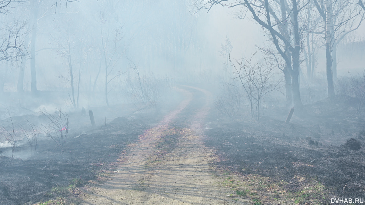 Лесной пожар возник недалеко от поселка в Хабаровском районе