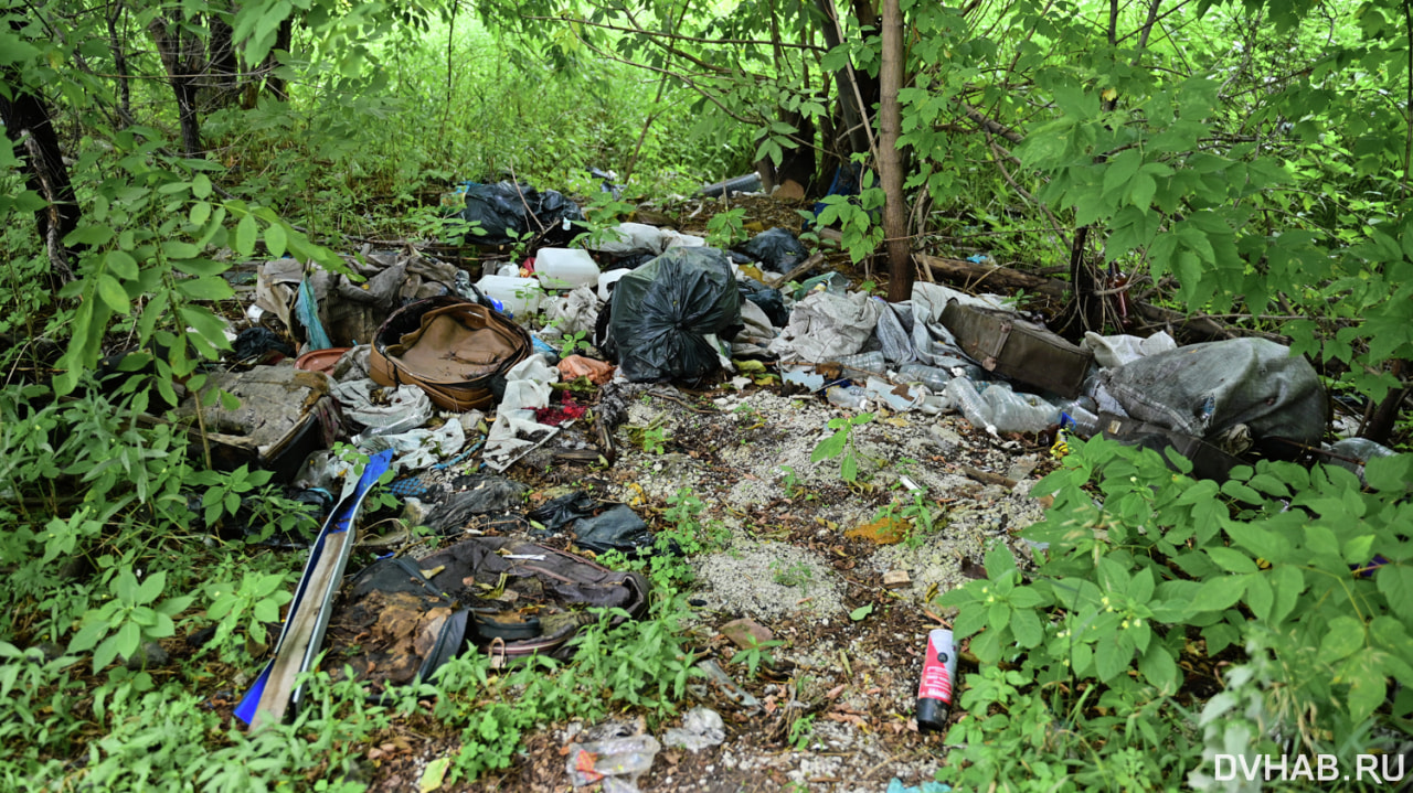 Оперативная информация: 202 мешка мусора вывезено с улиц Хабаровска