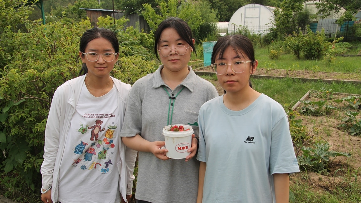 Жарить шашлыки и собирать ягоду учились китайские студенты на русской даче (ФОТО)