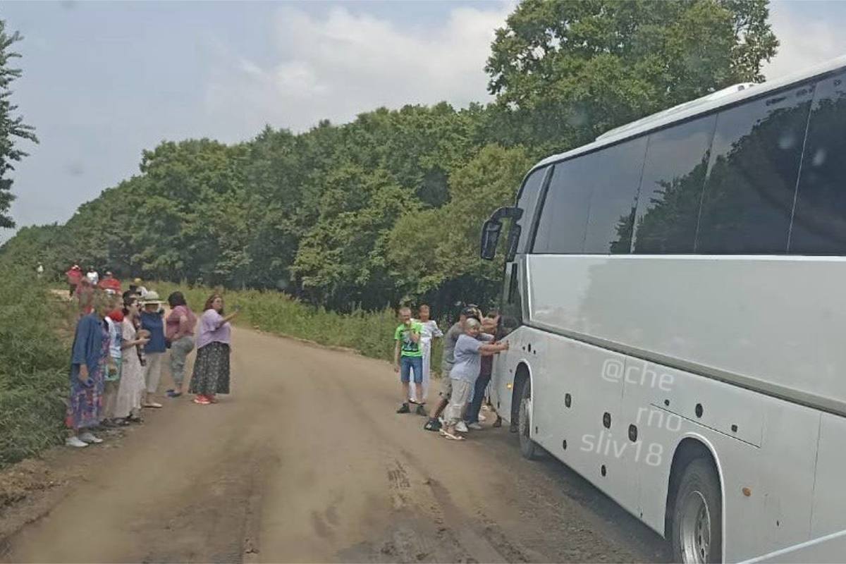 В Приморье автобус с туристами завяз в грязи по дороге на сыроварню –  Новости Владивостока на VL.ru