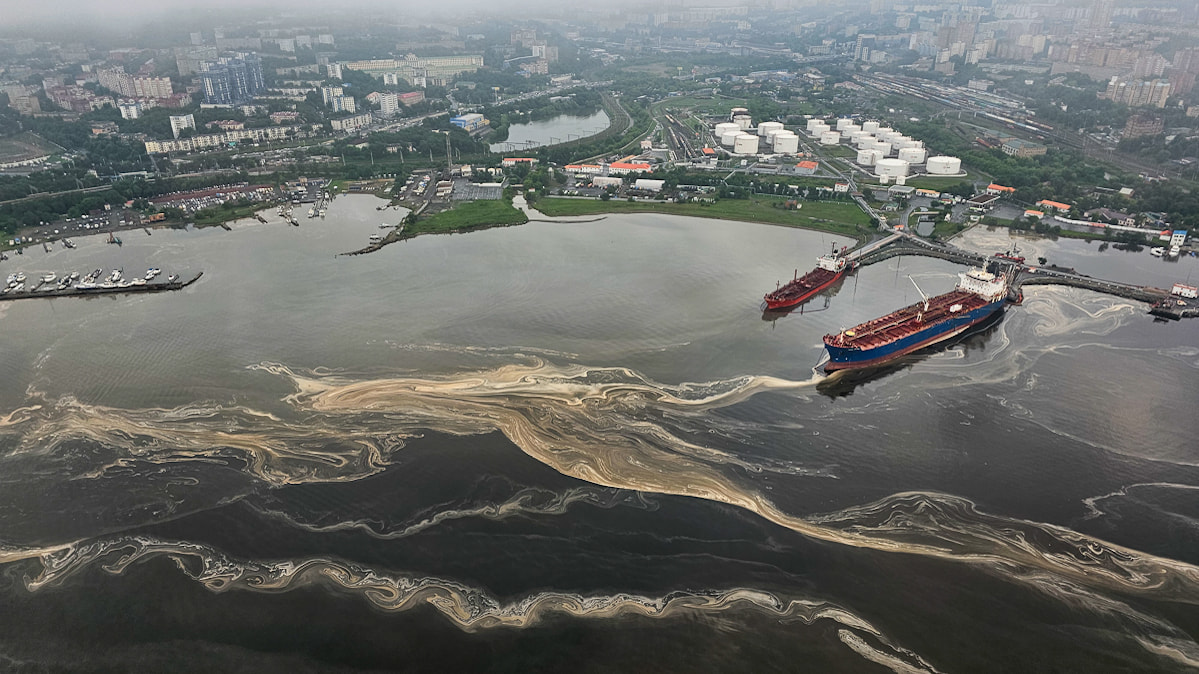 Параллельная реальность: море у Владивостока покрылось загадочным веществом