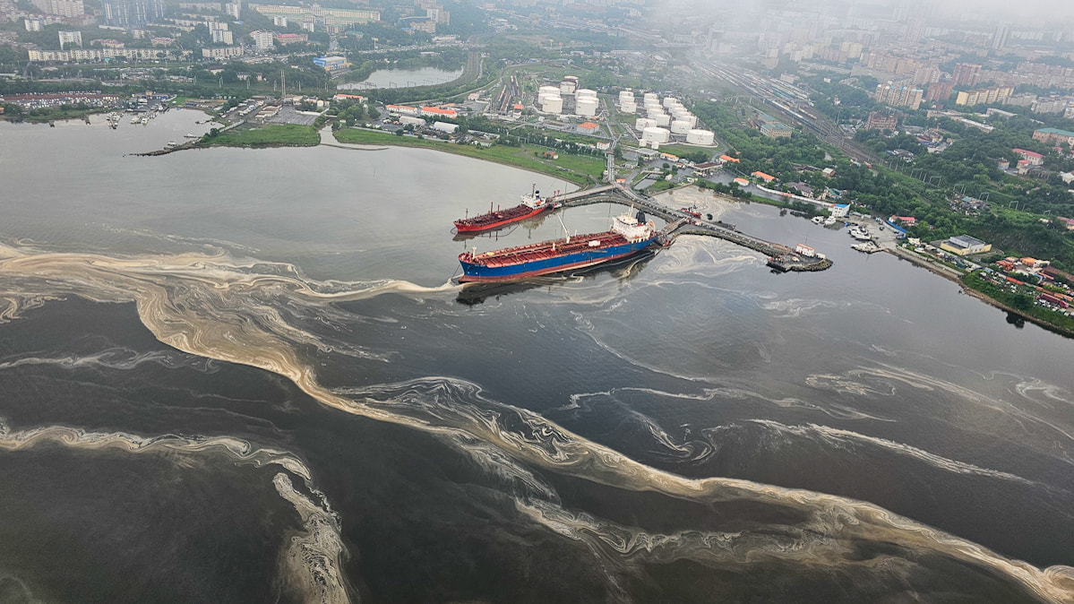 Новости к завтраку: «красные приливы» сместились с Камчатки к Владивостоку