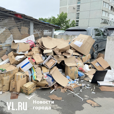 ПЭО расторгнет договор с компанией, из-за которой в Ленинском районе Владивостока не вывозился мусор