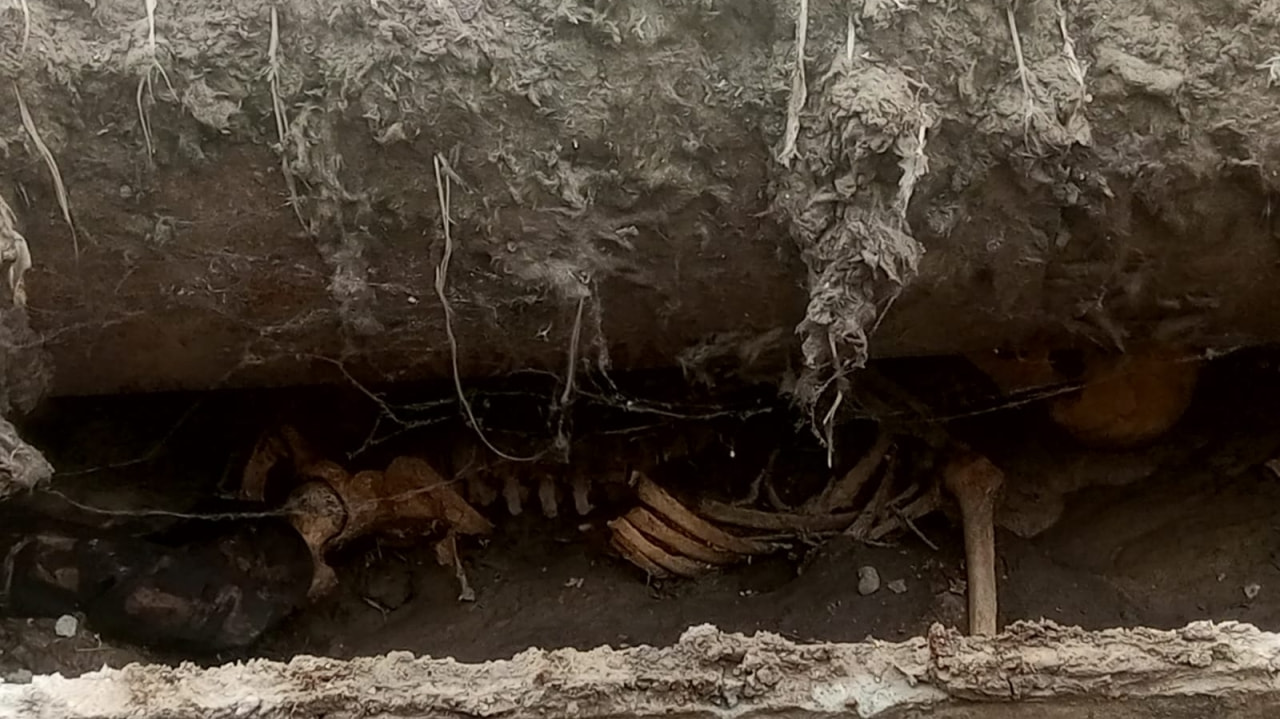 Привет из 90-х: человеческие останки найдены при ремонте теплотрассы у «Речного порта» (ФОТО)
