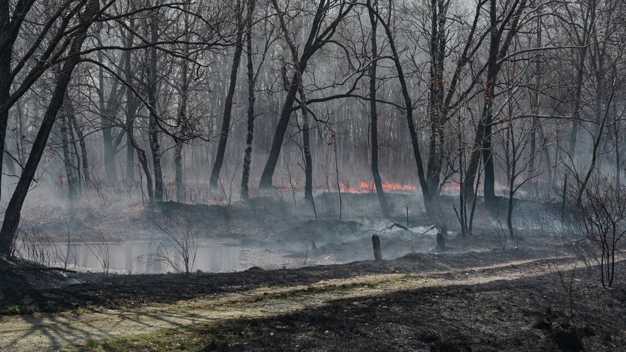 Лесные пожары подобрались к двум поселениям в Хабаровском крае