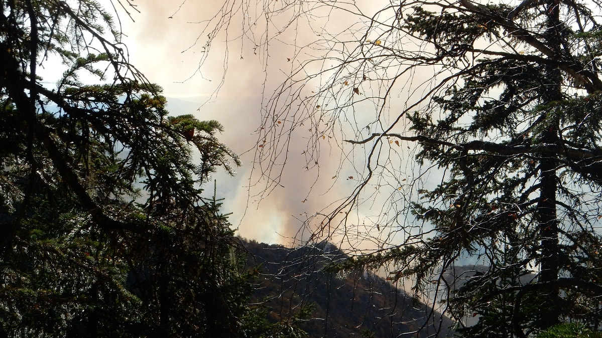 Оперативная информация: ландшафтные пожары разгораются в Хабаровском крае