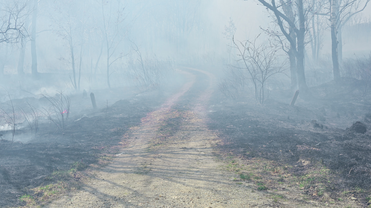 Площадь пожаров в Хабаровском крае постепенно сокращается