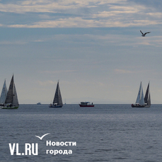 Влажность воздуха во Владивостоке приблизится к 100% на этой неделе
