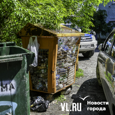 Треть установленных во Владивостоке контейнеров для раздельного сбора отходов заберут