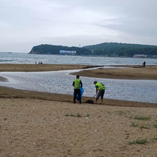 Пляжи на Шаморе очищают от водорослей и мусора