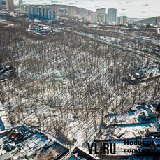 Жителей Владивостока приглашают пройти опрос о благоустройстве парка на Тихвинской до 4 августа