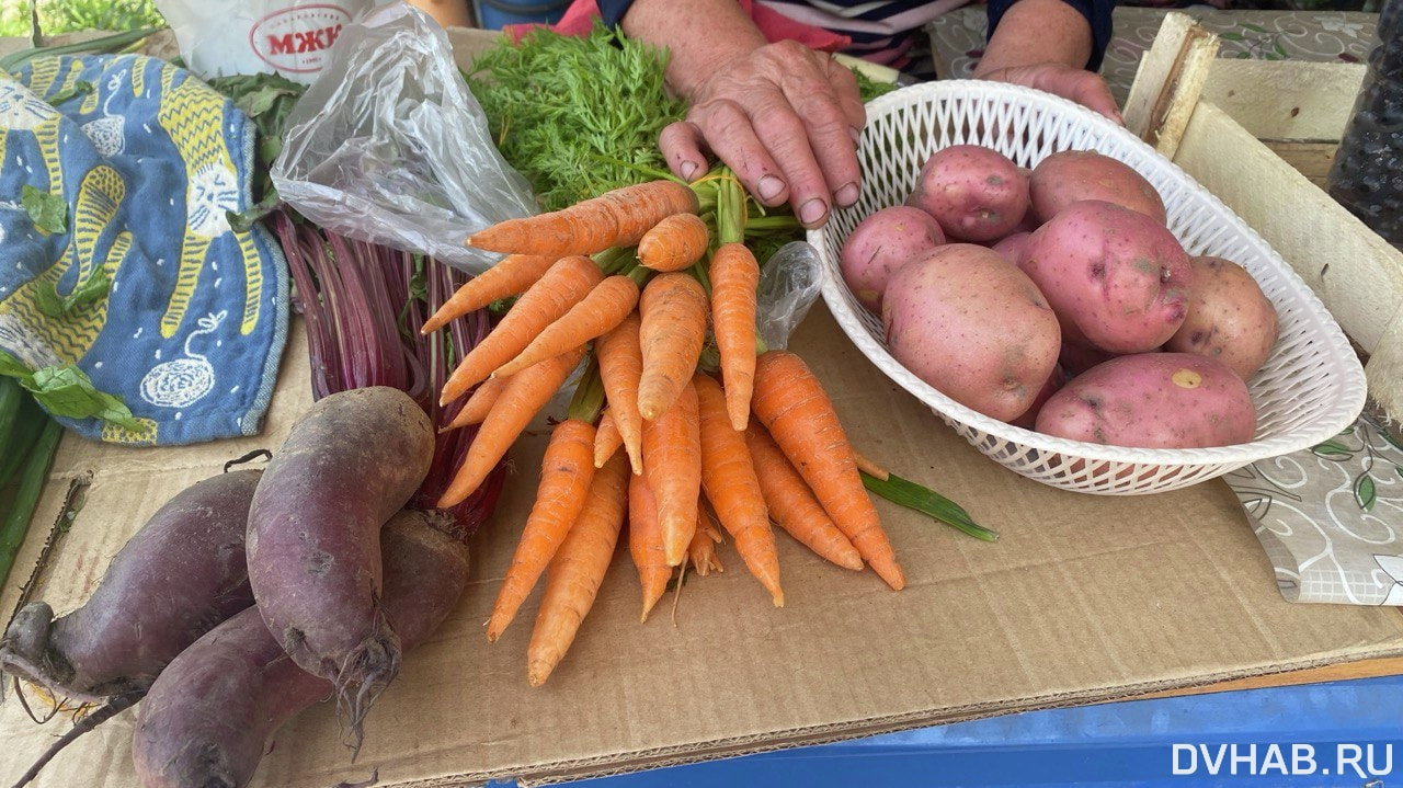 Молодой местной картошкой и овощами начали торговать на улицах города (ФОТО)