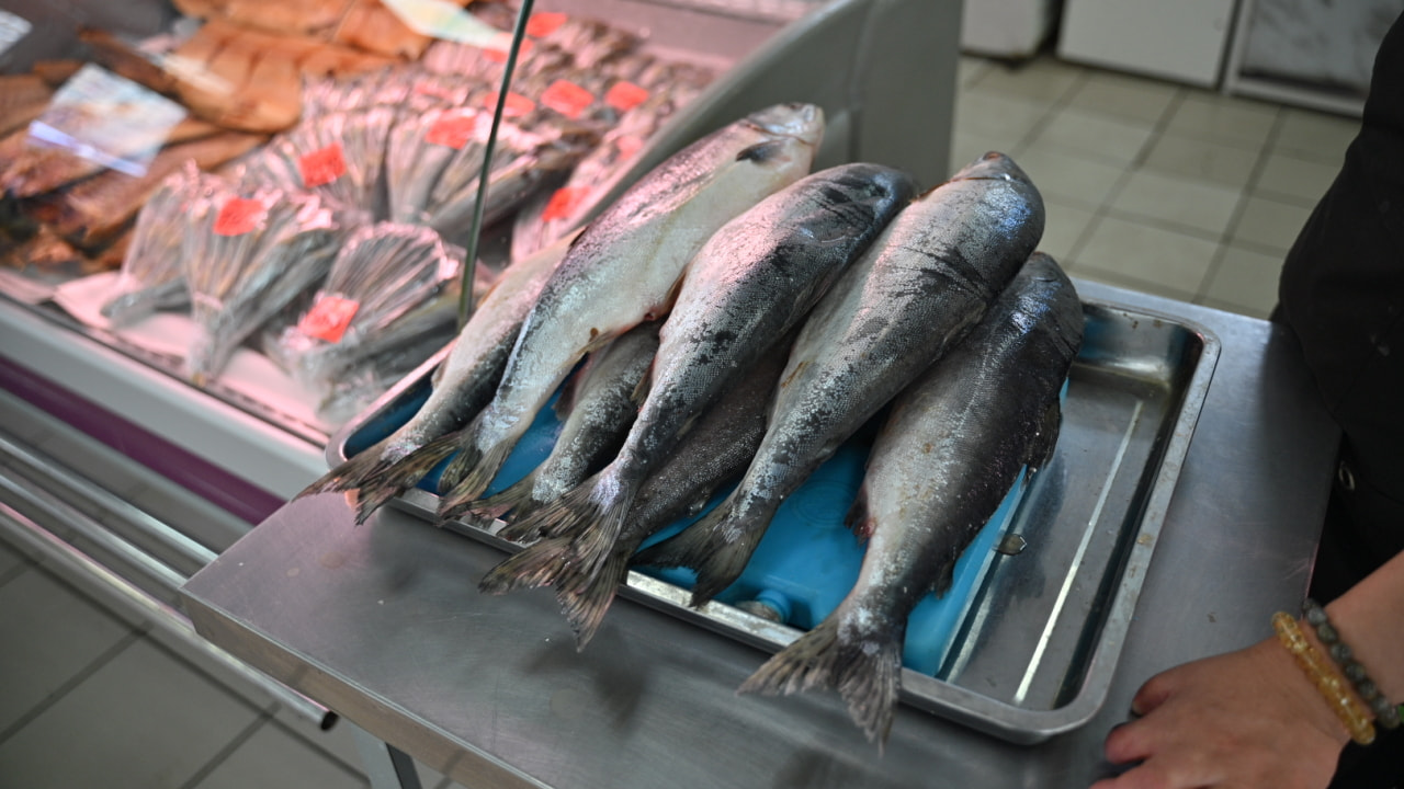 «Доступная рыба» появилась на прилавках и подорожала с прошлого года (ФОТО)