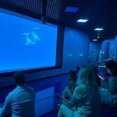 Приморский океанариум откроет в августе специальный зал для наблюдения за танцами белух под водой