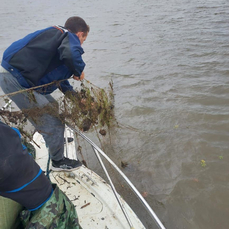 Озеро Ханка чистят от рыболовных сетей и мусора