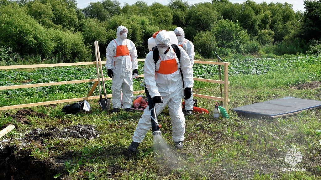 Очаг сибирской язвы ликвидировали в Хабаровском районе в рамках учений (ФОТО)