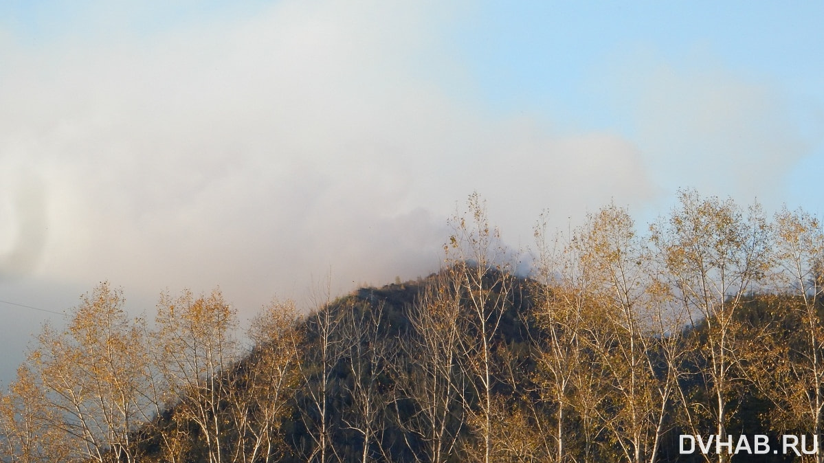 Все лесные пожары ликвидировали в Хабаровском крае
