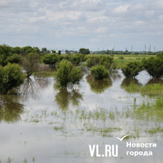 Переливы препятствуют движению транспорта в 12 муниципалитетах Приморья