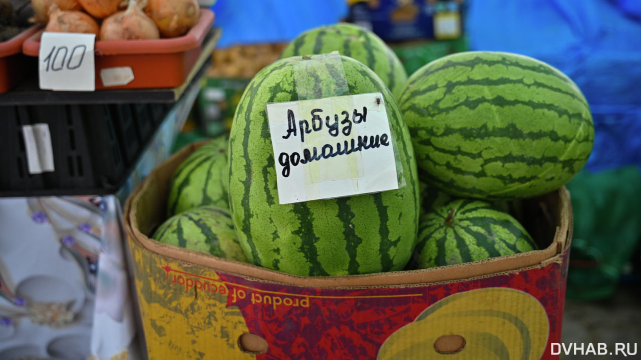 Позитив в массы: хабаровчане едят местные арбузы и пересаживают печень