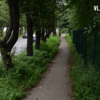  — newsvl.ru