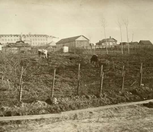 DVHAB на районе: Некрасова - улица круглых домиков и зверского убийства (ФОТО)