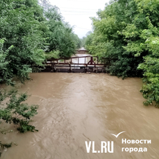 Начать расчищать речку Объяснения могут уже после спада уровня воды