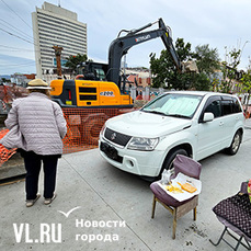 На Адмирала Фокина автомобилисты паркуются на части пешеходной зоны, временно открытой для ремонта теплотрассы (ФОТО)