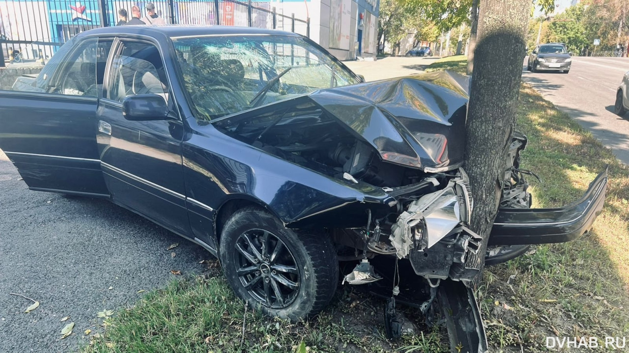 Toyota Crown врезалась в дерево у «Магазинов Радости» (ФОТО)