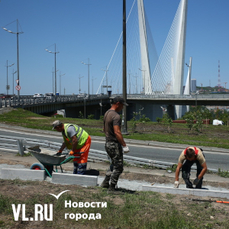 На месте тропинок в сквере рядом с Золотым мостом сделают пешеходные дорожки 