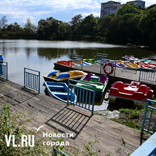 В парке Минного городка демонтируют детский лагерь, пирс, сцену, автодром, помещение детского спортцентра – они признаны незаконными (ФОТО)