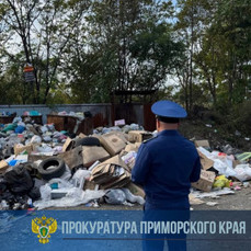 Прокуратура заинтересовалась переполненными мусорными площадками в пригороде Владивостока