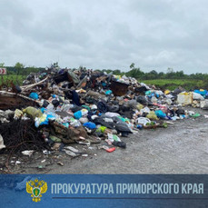 Прокуратура в судебном порядке добивается ликвидации несанкционированной свалки в Лесозаводске