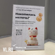 Как корреспондент Новостей VL.ru менял мелочь в банках Владивостока на &laquo;Монетной неделе&raquo;