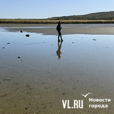 &laquo;Вода сбежала!&raquo; – сильный ветер в период отлива на выходных вызвал необычайное снижение уровня моря во Владивостоке