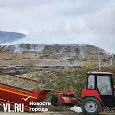 У свалок кончается срок годности, а полигон у земли леопарда пока под вопросом – &laquo;мусорную проблему&raquo; обсудили в парламенте Приморья