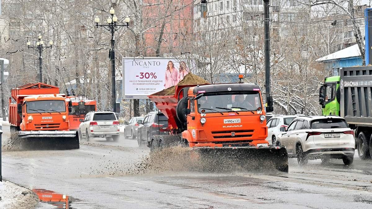 Для комфорта жителей - ускорить уборку снега потребовал мэр Хабаровска