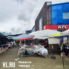 Участки под Спортивным рынком во Владивостоке начал скупать застройщик парка &laquo;Фантазия&raquo; и острова Елены