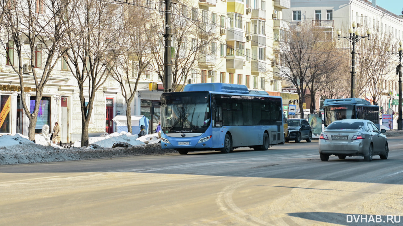 Более ста единиц общественного транспорта обещают обновить в следующем году