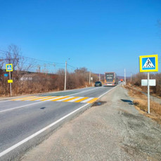 Девятилетнюю девочку сбили на пешеходном переходе в Приморье