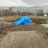 Флагшток высотой 50 метров будет находиться напротив главного корпуса А со стороны моря — newsvl.ru