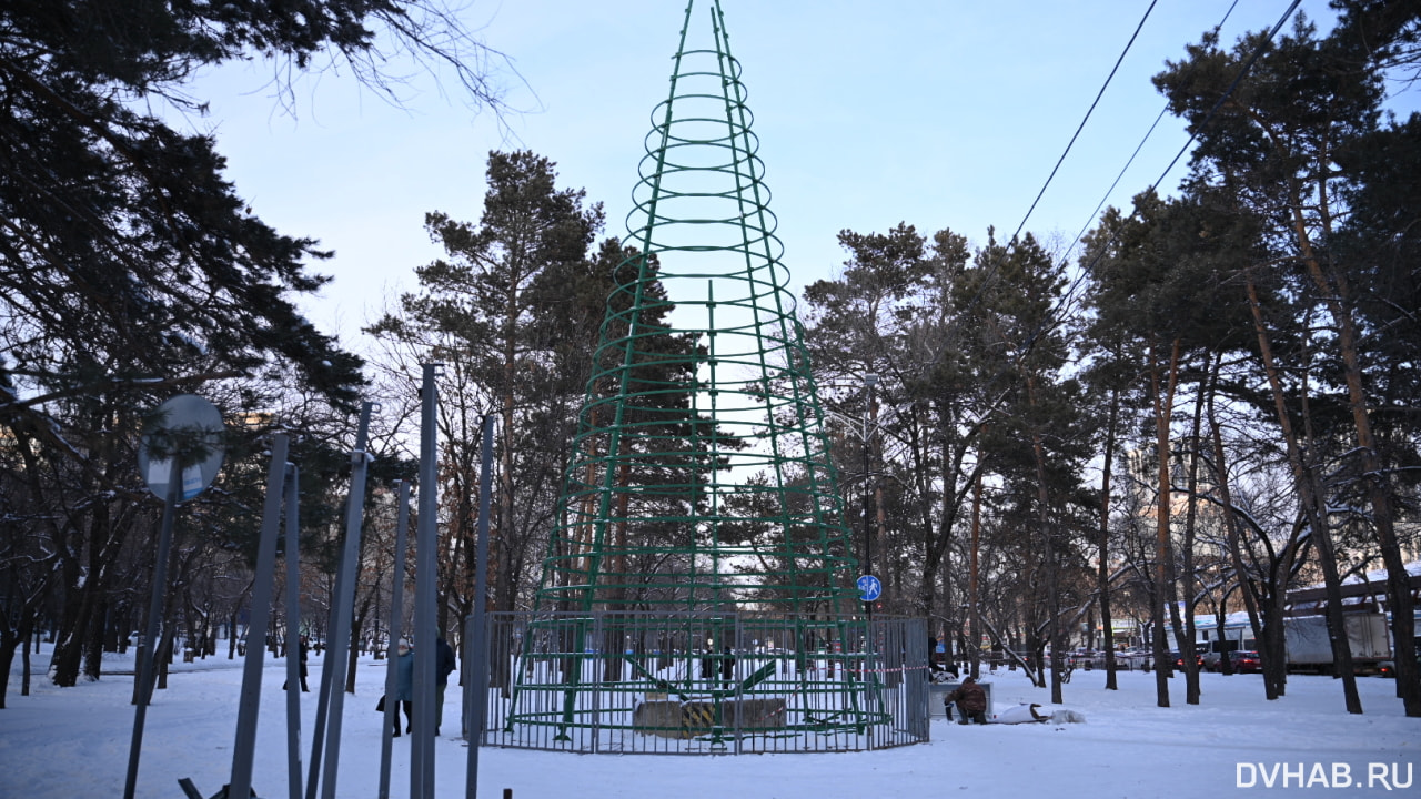 Новогодний городок начали обустраивать на Амурском бульваре (ФОТО)