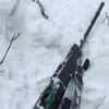 Охотник погиб от лап медведя в Кировском районе Приморья