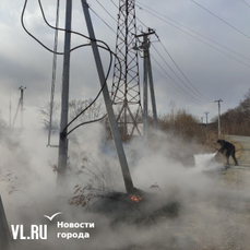 В коттеджном посёлке на Соловей-Ключе загорелась трава под ЛЭП (ФОТО)