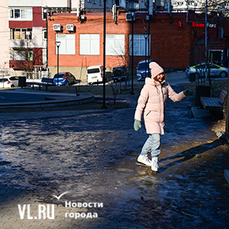 На коньках по городу: течи Владивостока открыли сезон (ФОТО)