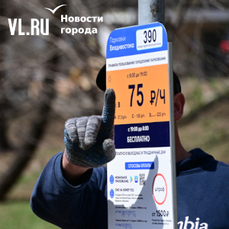 В «Цифровом Приморье» сбои с оплатой парковок из-за смены банковских протоколов