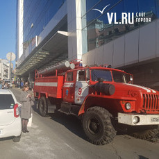 Во Владивостоке пожарные спасли женщину из горящего дома с помощью лестницы