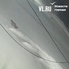 «Он нас первый увидел и зарычал» – очевидец о тигре на Садгороде во Владивостоке (ПОДРОБНОСТИ)