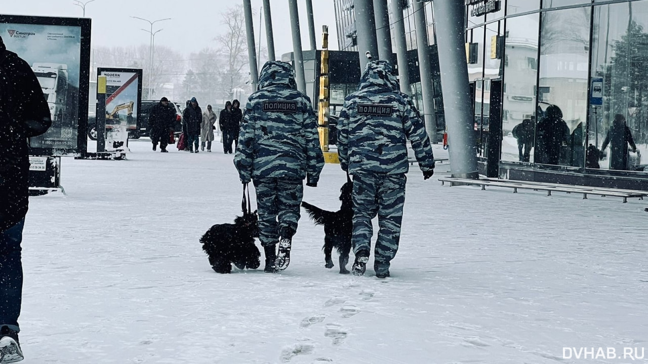 Полиция приезжала в аэропорт из-за подозрительной сумки (ФОТО)